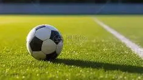 2025年海南篮球赛季落幕，三亚队荣获冠军