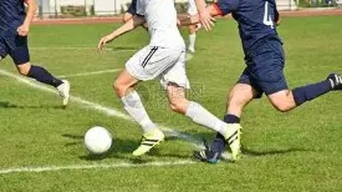 B体育 产品 141553 odv