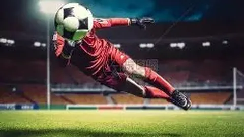 B体育 资讯 142708 ogo