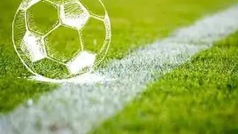 三年级体育明星手抄报：易学美观（高清17幅）